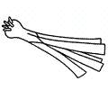 Zelenina 15