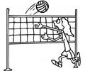 Volleyball