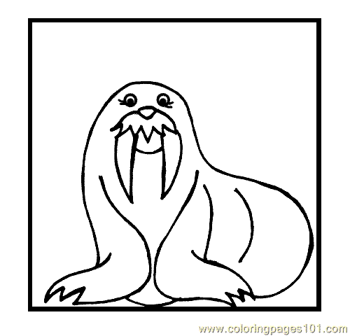 Coloring Pages Sea Lion Coloring Page 06 (Animals > Walrus) - free
