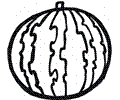 Watermelon 8