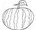 Watermelon 9