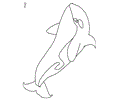 Whale Fish 01