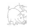 Wild Boar Coloring Page2