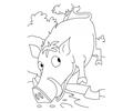 Wild Boar Coloring Page6