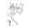 Winx 29