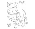 Wolf Coloring Page5