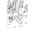 Yosemite Sam6