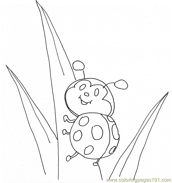 lady bug eggs coloring pages - photo #29