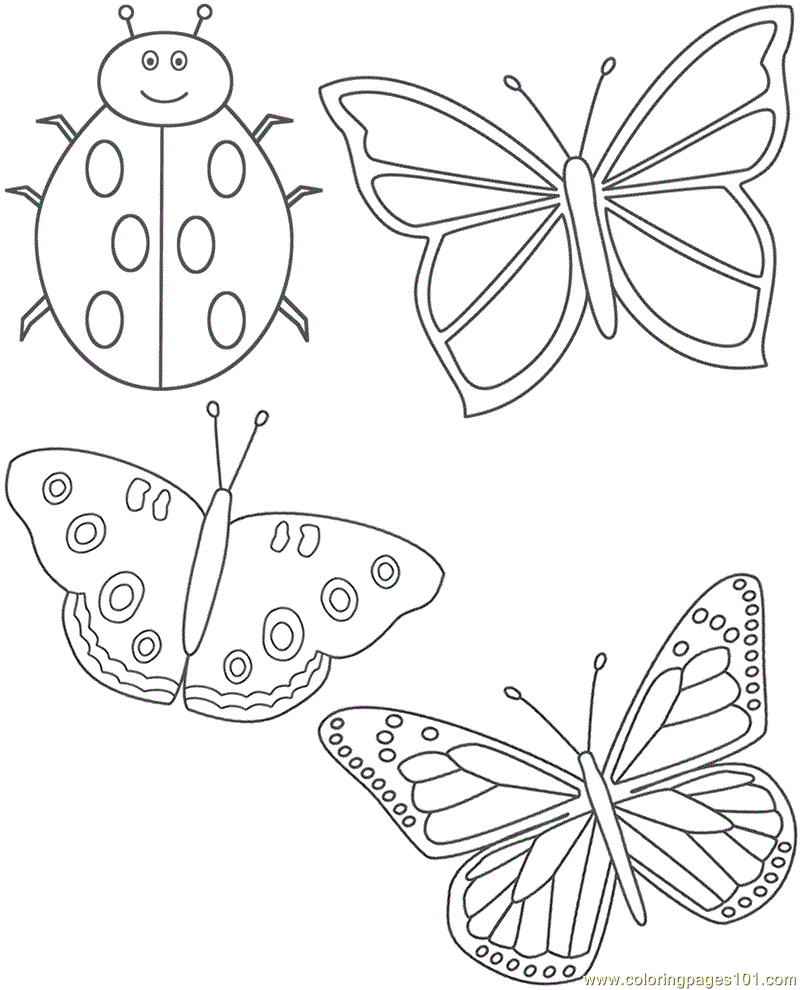 Coloring Pages Butterflies ladybug (Insects > ladybugs) - free ...
