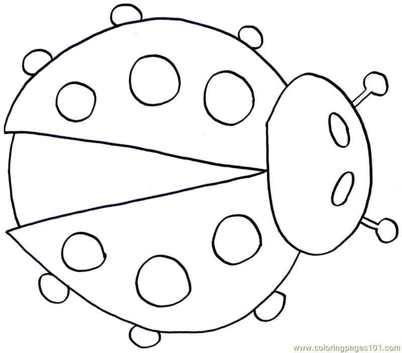 lady bug eggs coloring pages - photo #18
