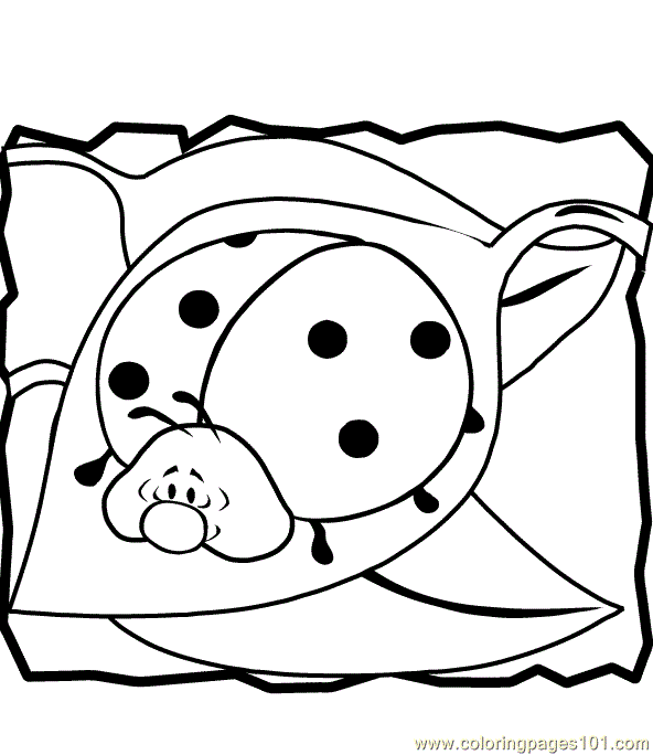 lady bug eggs coloring pages - photo #19