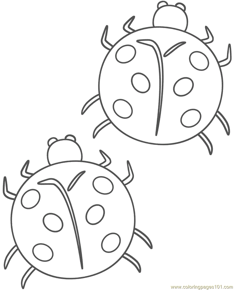 lady bug eggs coloring pages - photo #32