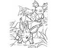 Animals Pokemon