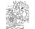 Pokemon 05