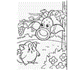 Pokemon (11)