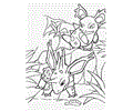 Pokemon (14)