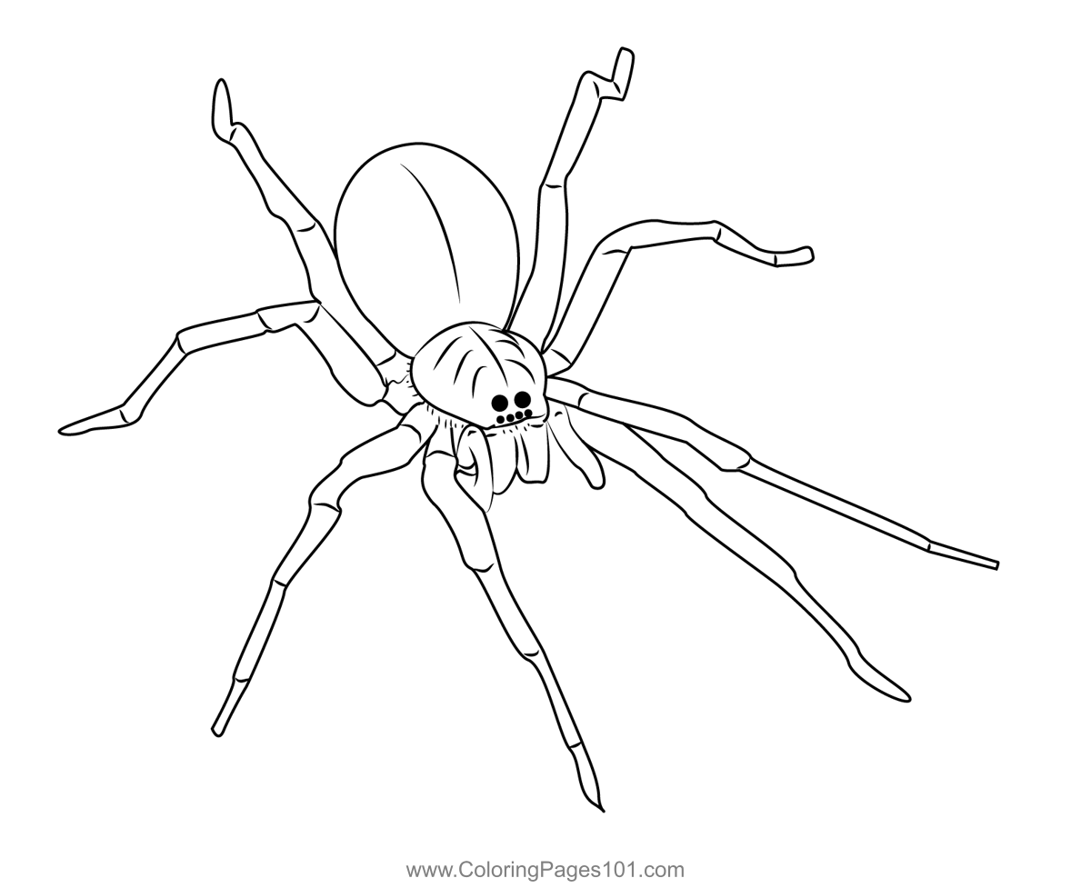 Fishing Spider Coloring Page for Kids - Free Spiders Printable Coloring  Pages Online for Kids 