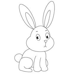 Babby Bunny