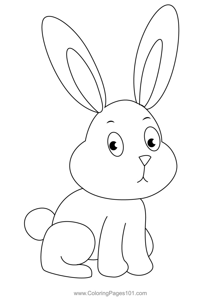 Babby Bunny