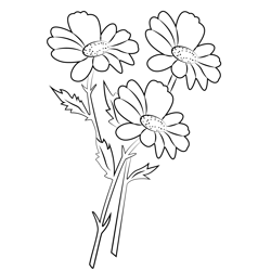 Meadow Flowers Free Coloring Page for Kids