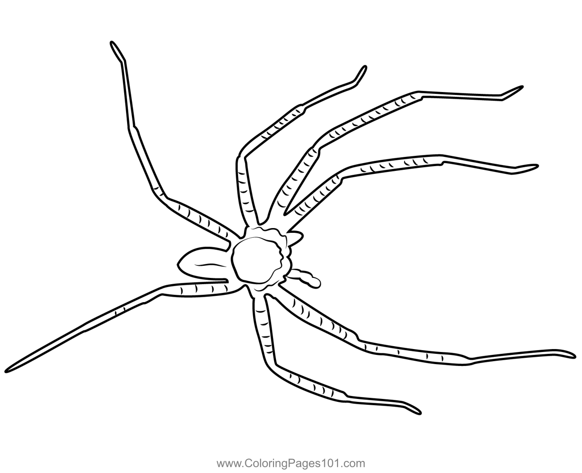 Big Creepy Spider Coloring Page for Kids - Free Spiders Printable ...