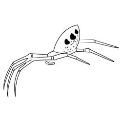 Garden Spider On Web Free Coloring Page for Kids