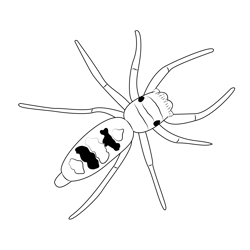 Graceful Spider Free Coloring Page for Kids