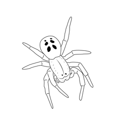 Male Ladybird Spider Free Coloring Page for Kids