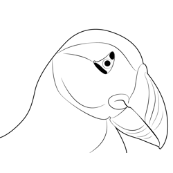 Close Up Puffin Bird Free Coloring Page for Kids