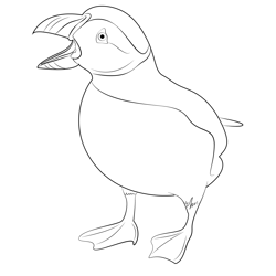 Puffin 1 Free Coloring Page for Kids