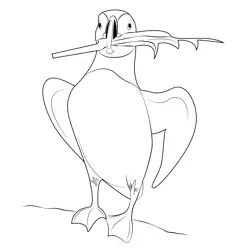 Puffin 4 Free Coloring Page for Kids