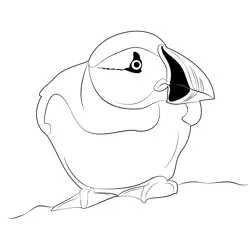 Puffin Bird Free Coloring Page for Kids