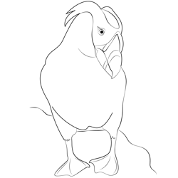 Tufted Puffin Free Coloring Page for Kids