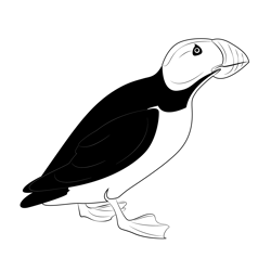 Vintage Horned Puffin Free Coloring Page for Kids