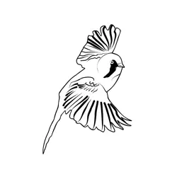 Bearded Tit 4 Free Coloring Page for Kids