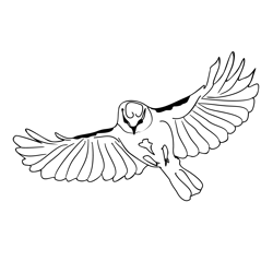 Blue Tit 3 Free Coloring Page for Kids