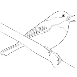 Chickadee 13 Free Coloring Page for Kids