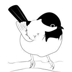 Chickadee 9 Free Coloring Page for Kids