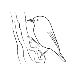 Chickadee Sitting On Tree Free Coloring Page for Kids
