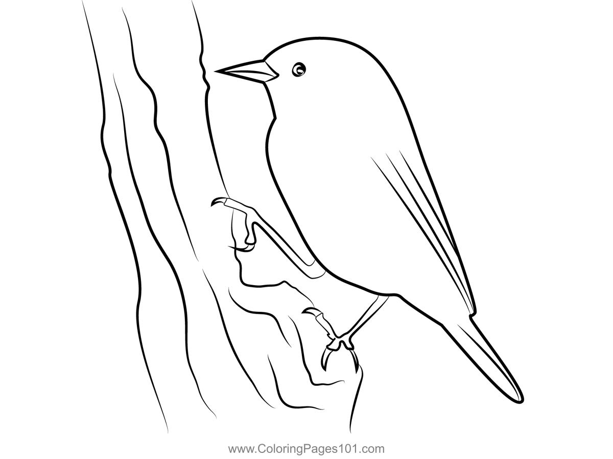 Chickadee Sitting On Tree