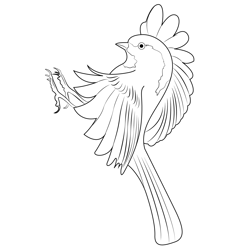 Chickadee With Wings Open Free Coloring Page for Kids