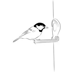 Coal Tit 8 Free Coloring Page for Kids