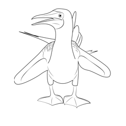 Blue Footed Booby Bird Free Coloring Page for Kids