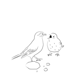 Cirl Bunting 6 Free Coloring Page for Kids