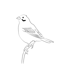 Corn Bunting 1 Free Coloring Page for Kids