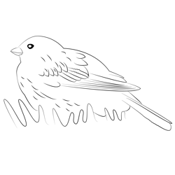 Corn Bunting 6 Free Coloring Page for Kids