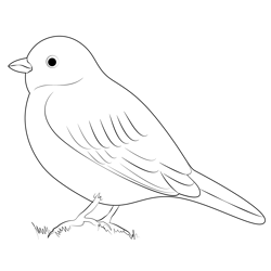 Horned Lark Bunting Free Coloring Page for Kids