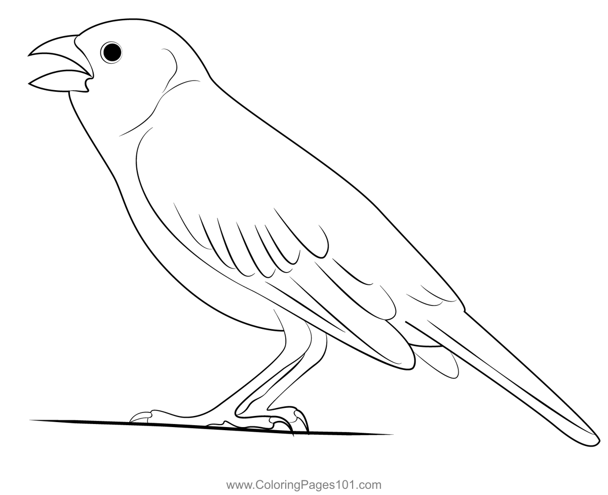 Lark Bunting 9 Coloring Page for Kids Free Buntings Printable