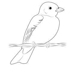 Lark Bunting Colorado State Bird Free Coloring Page for Kids