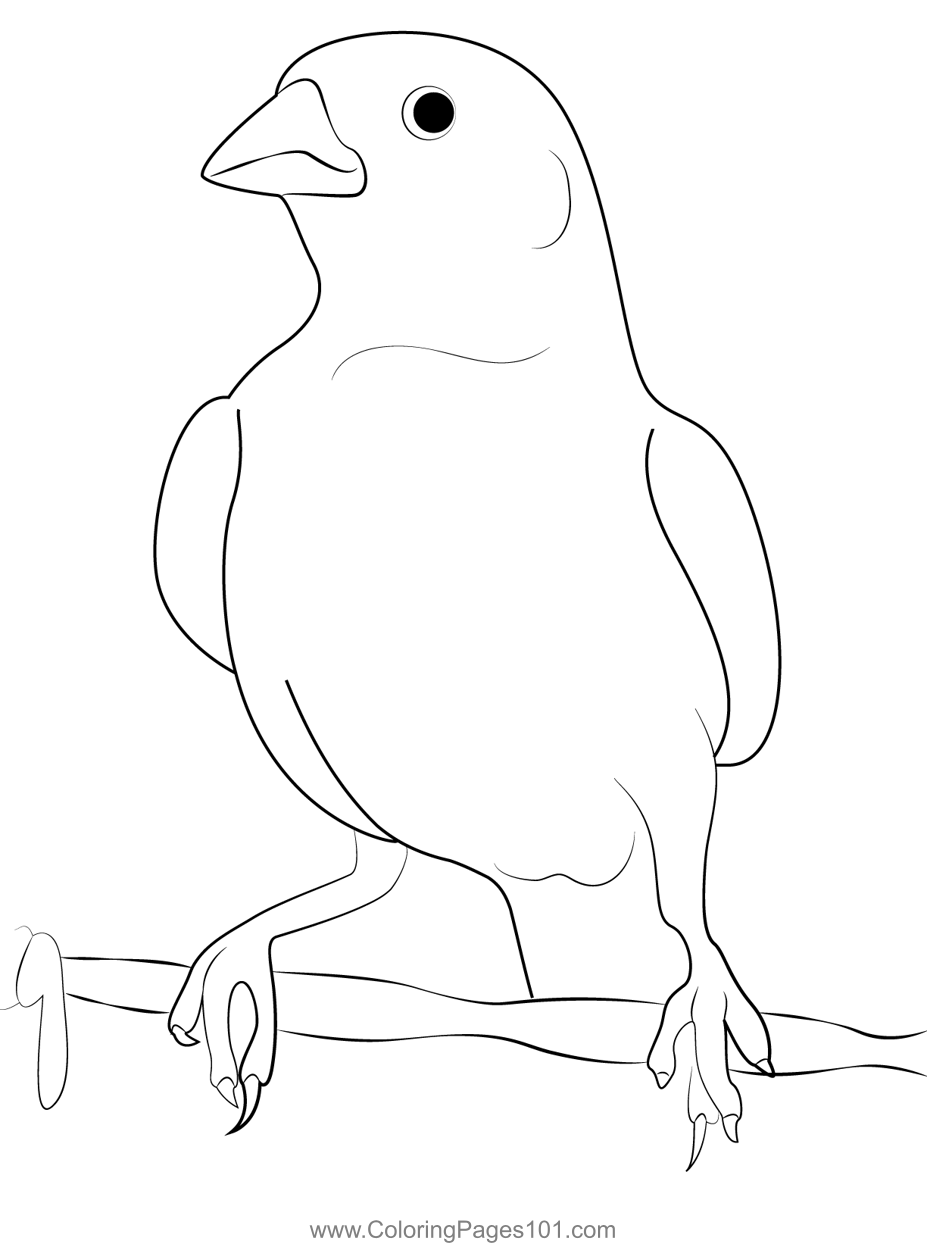 Lark Bunting Female Coloring Page for Kids - Free Buntings Printable ...